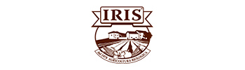Partner_0010_iris